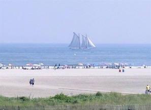 On the beach