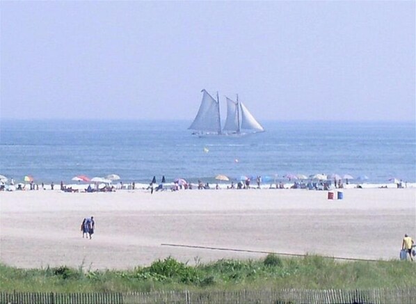 On the beach