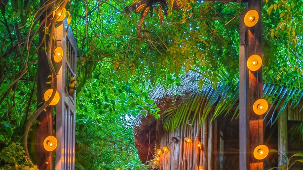 Un sendero que atraviesa un exuberante jardín con un arco de madera decorado con luces colgantes.