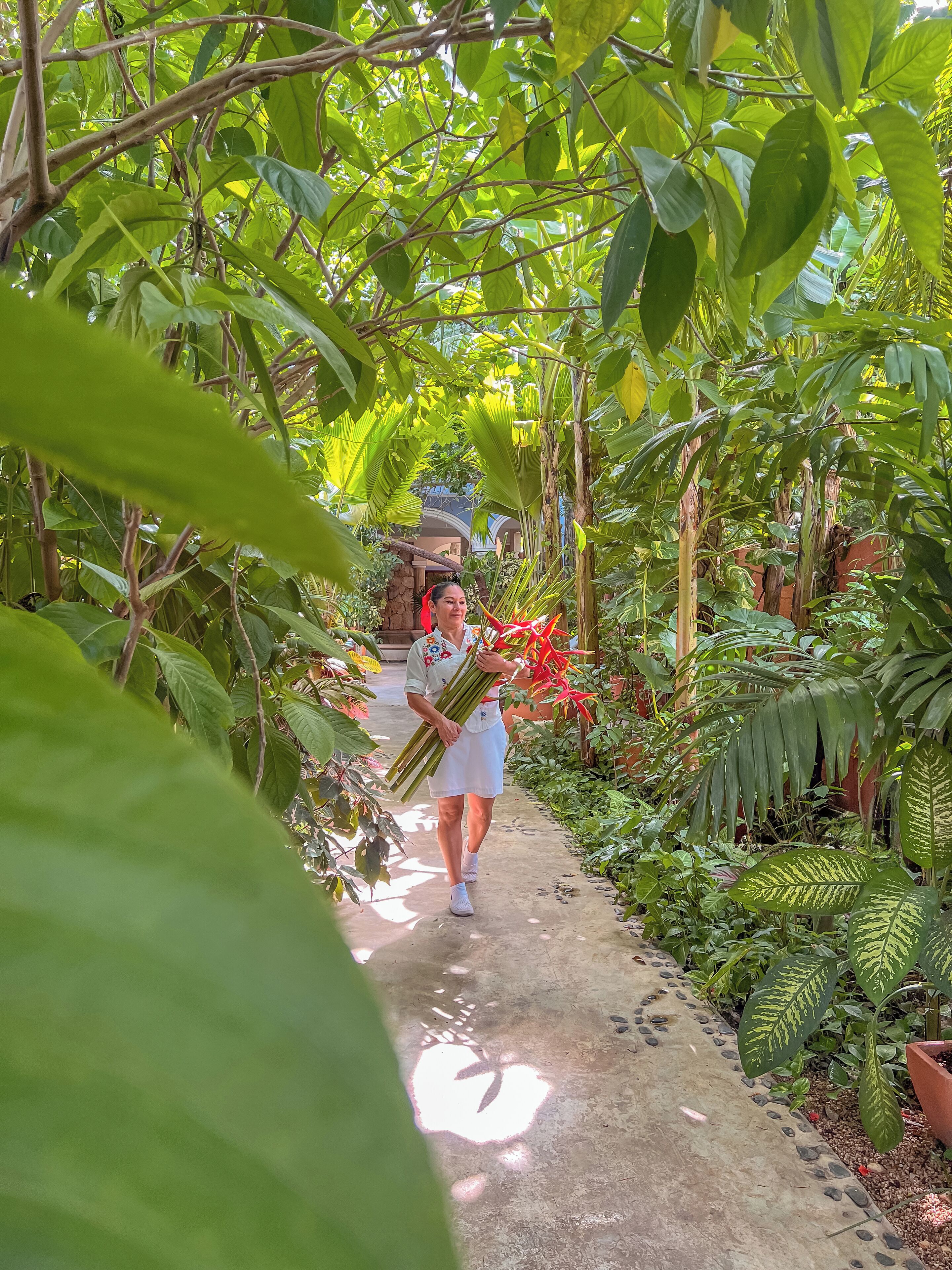 Foto - Le Muuch Hotel Boutique