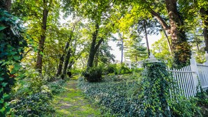 A pathway surrounded by lush greenery and a white fence.