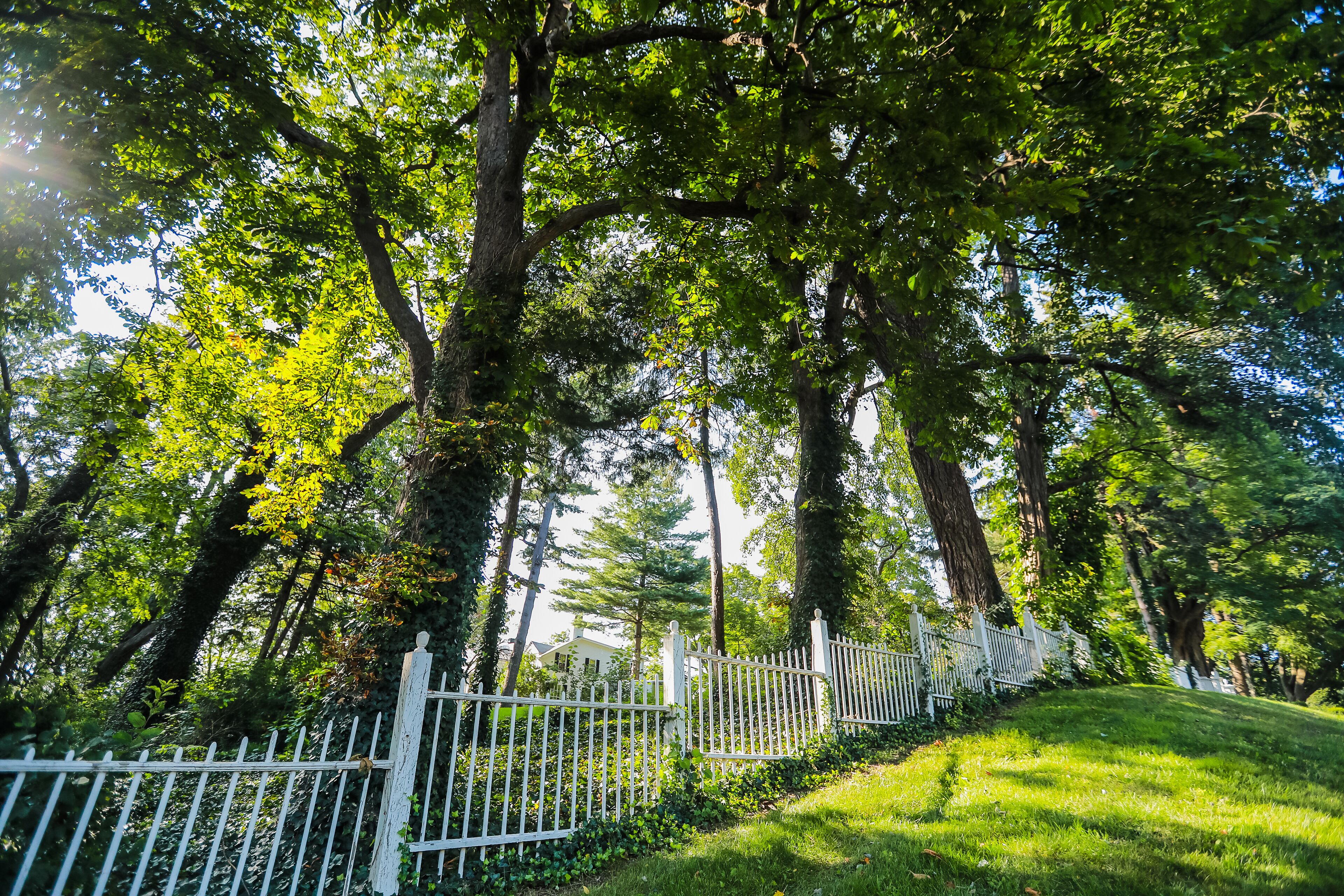 A white fence with a gate, surrounded by lush green trees and grass.