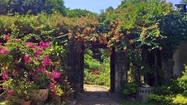 A garden pathway leading through a lush, green area with flowering plants and a wheelbarrow.