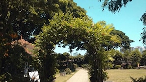 A pathway flanked by lush greenery and a clear blue sky.