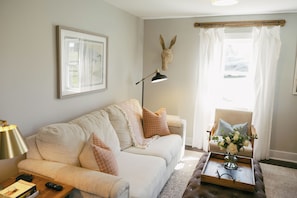 Smart TV, fireplace, books