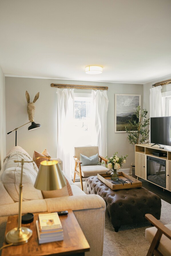 Smart TV, fireplace, books