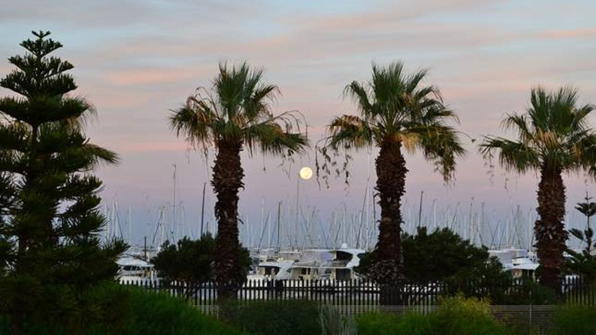 MARINE TERRACE BEACH STUDIO Autum & Winter Sale! — image 10