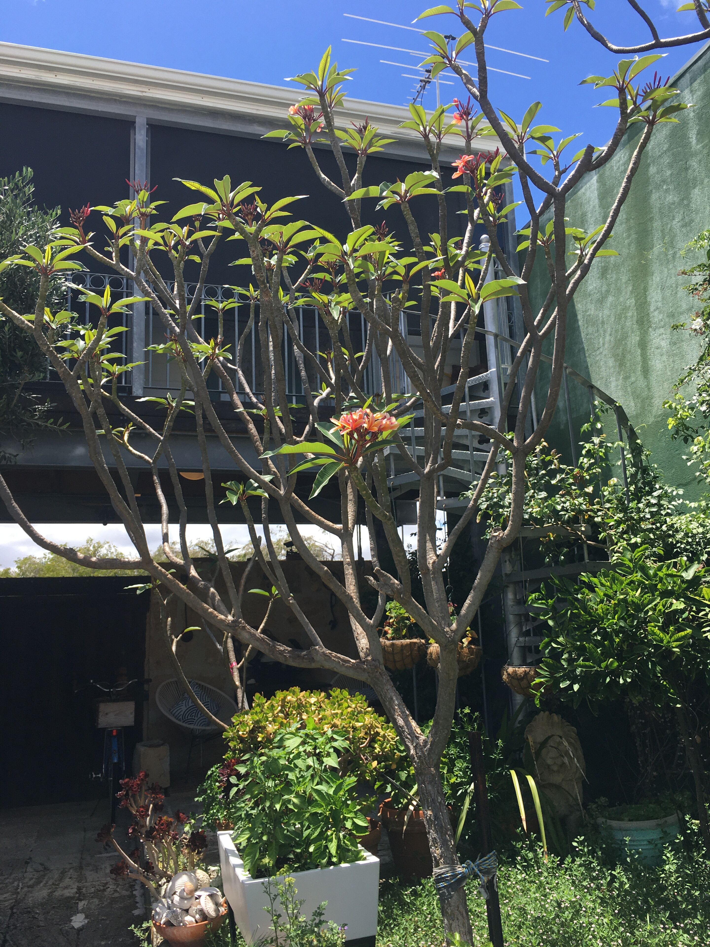 MARINE TERRACE BEACH STUDIO Autum & Winter Sale! — image 24