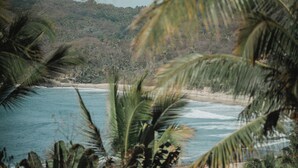 A beach with palm trees and a view of the ocean. - Distrito 88 - Adults Only Boutique Hotel (Sayulita)