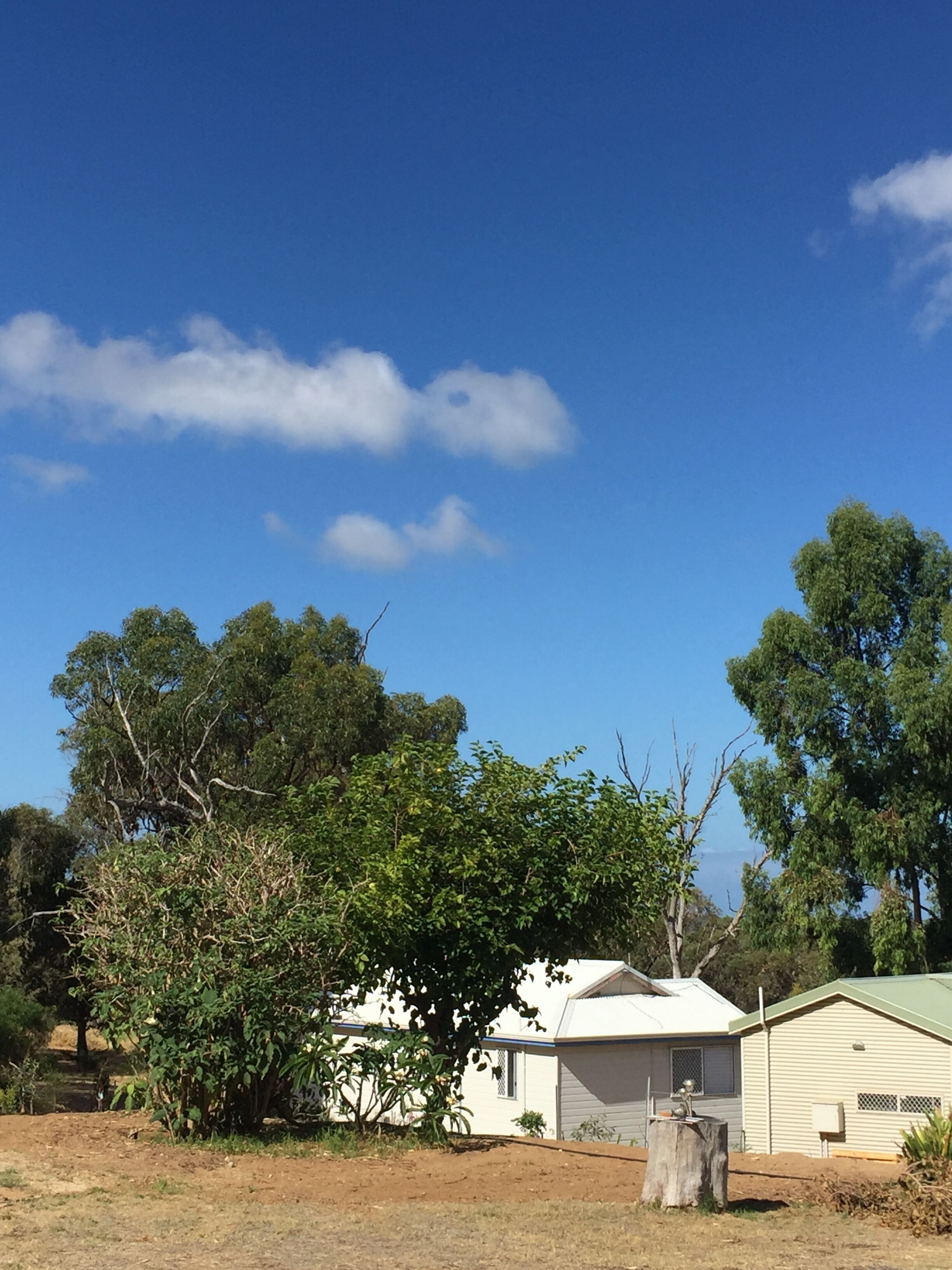 Lakeside Charm: Spacious 2 Bedroom Cottage On Flower Farm Surrounded By Nature — image 2