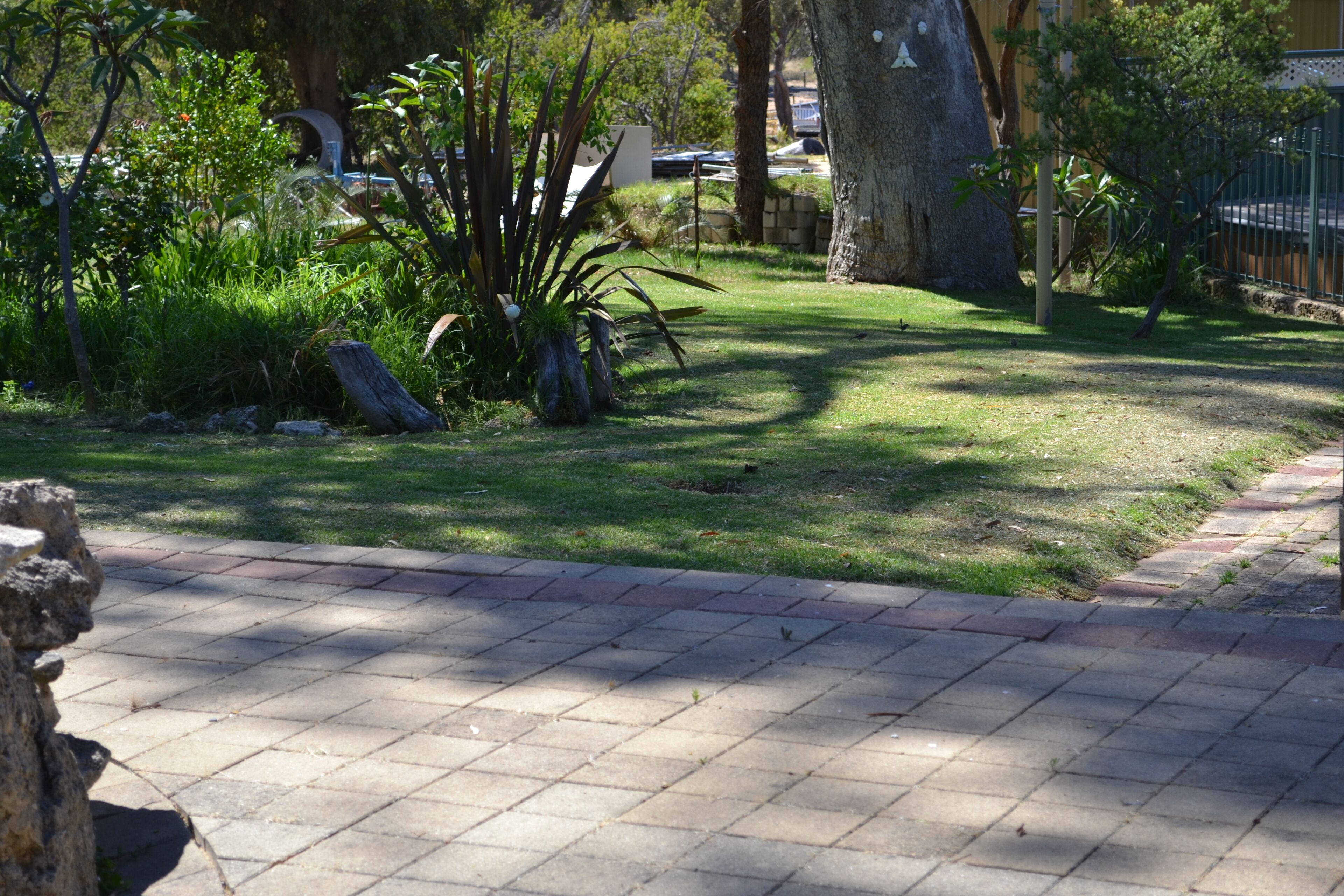 Lakeside Charm: Spacious 2 Bedroom Cottage On Flower Farm Surrounded By Nature — image 12