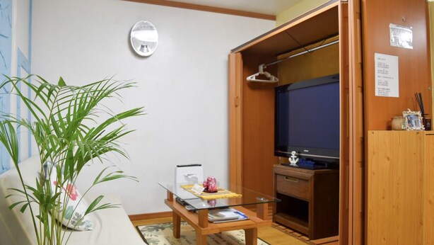 Een knus woongedeelte met een bank, een kleine tafel, een potplant, een spiegel, een televisie en een houten kast.