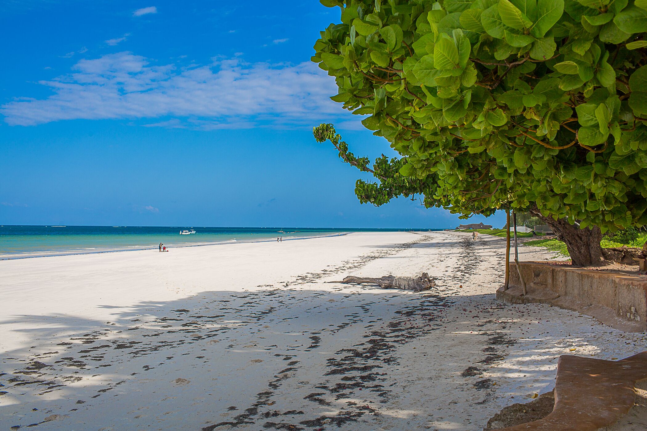 海灘、躺椅、沙灘巾