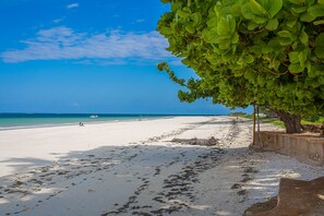 Plage, chaises longues, serviettes de plage