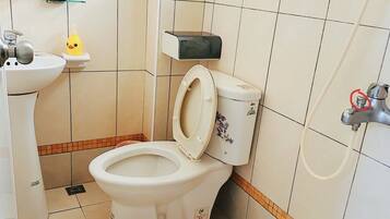 Basic Triple Room, Multiple Beds, Non Smoking | Bathroom | Shower, free toiletries, hair dryer, slippers