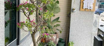 Kinmen House No.2