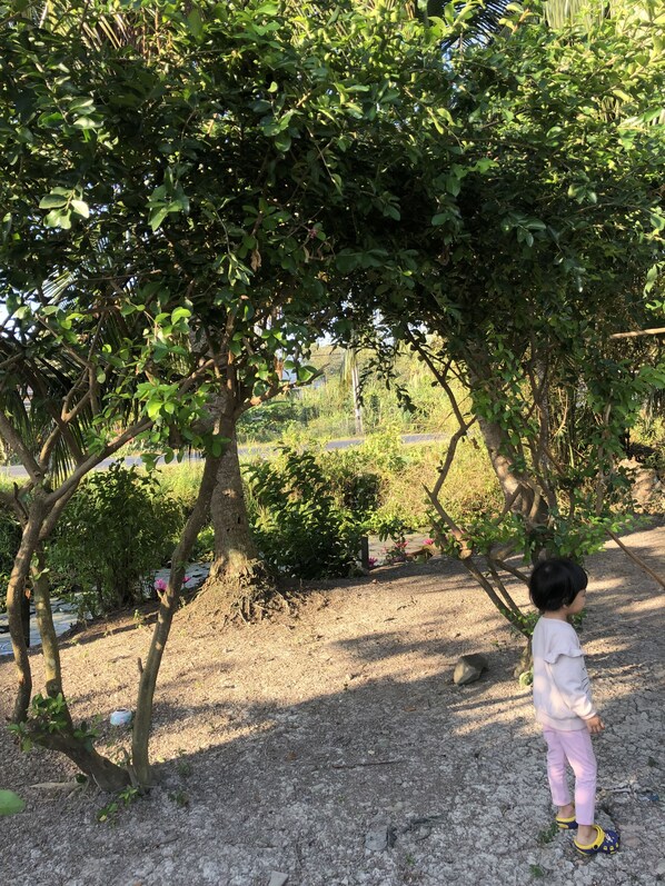 Exterior - Thanh Tan Guesthouse (Vung Liem)