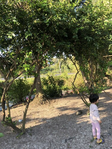 Thanh Tan Guesthouse