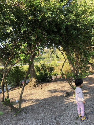 Thanh Tan Guesthouse