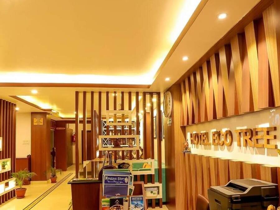 A reception area with a wooden reception desk, a sign reading "Eco Tree", and a wall with various travel-related signs.
