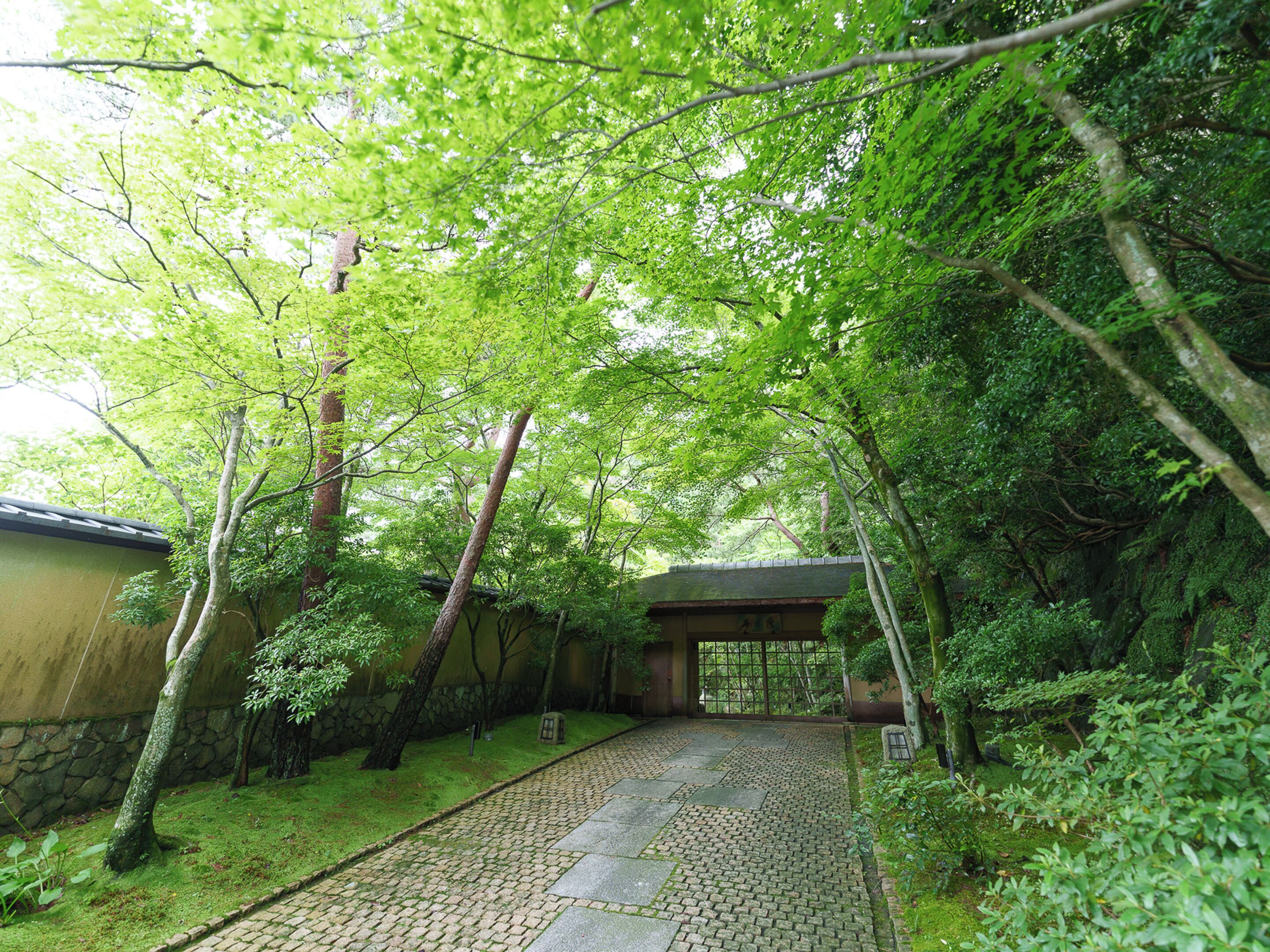 A traditional Japanese garden with a stone pathway, bamboo, and a wooden structure.