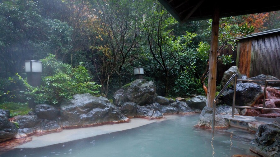 UNZEN HANZUIRYO