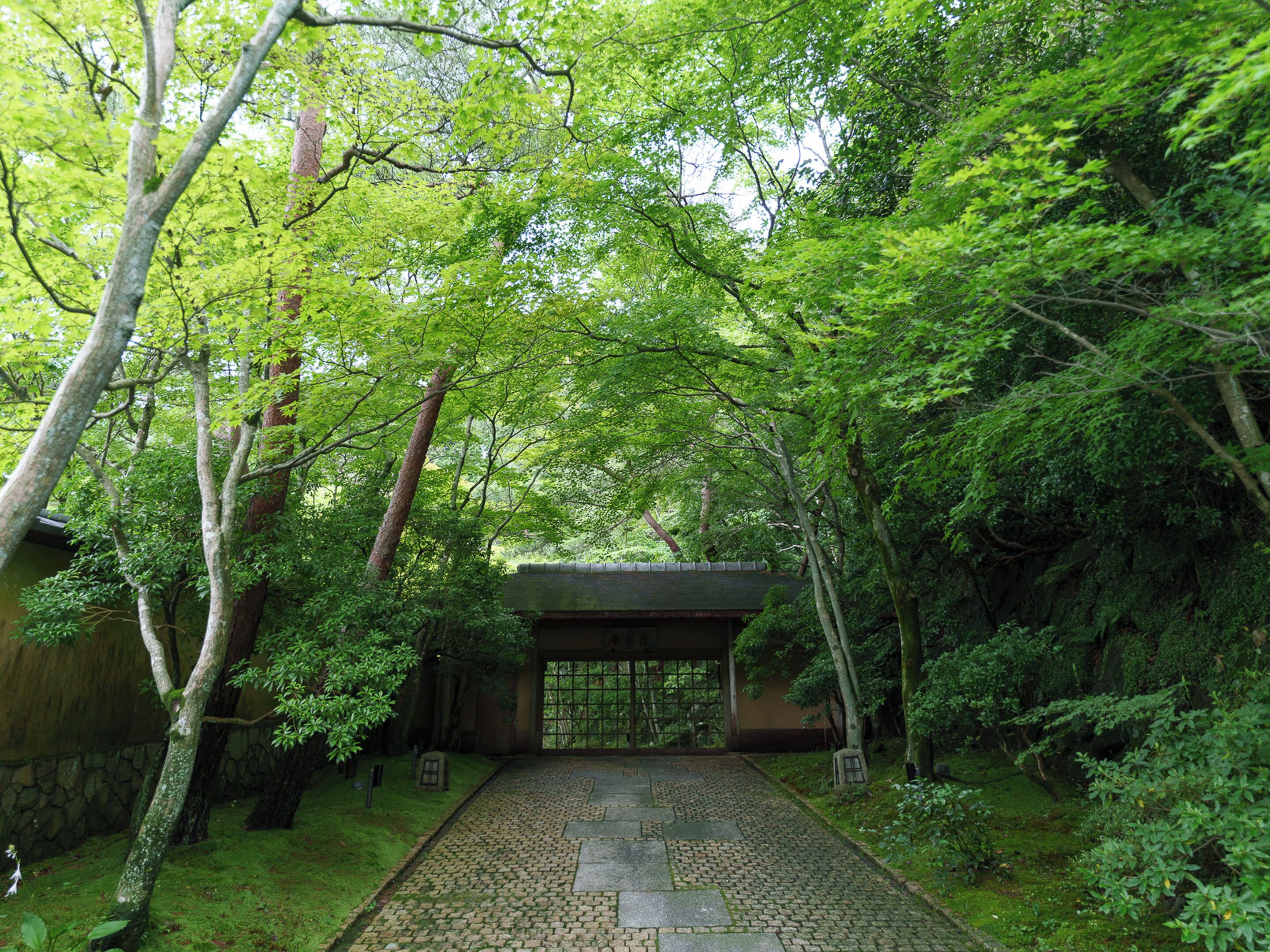 정원