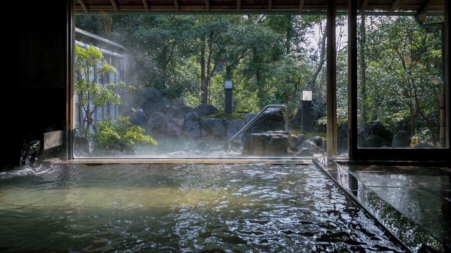 UNZEN HANZUIRYO