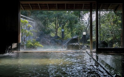 UNZEN HANZUIRYO