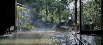 UNZEN HANZUIRYO