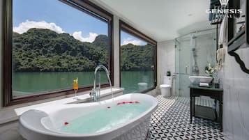 Combined shower/tub, free toiletries, hair dryer, bathrobes