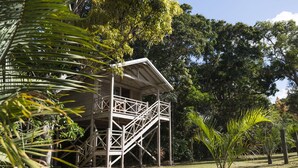 Edificio de madera con balcón y escaleras, rodeado de abundante vegetación.
