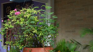 A row of potted plants in red containers on a concrete ledge. - Mrk Inn (Puducherry)
