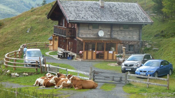 A wooden mountain lodge with a balcony, a dining area, and a view of cows in the foreground.