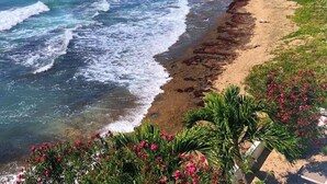 A beach with waves, a sandy path, and greenery. - Four Bedroom Ecoluxe Haven in Treasure Beach with Pool (Treasure Beach)