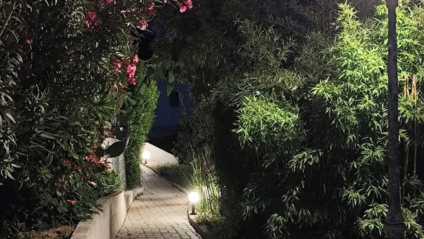 A wooden pathway flanked by lush greenery and a lit lamp post. - 2-room villa with a terrace and a view of the pool. (Fréus)