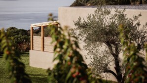 Un edificio moderno con vistas al mar, una pérgola y un árbol en primer plano.