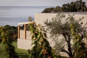 Un edificio moderno con vistas al mar, una pérgola y un árbol en primer plano.