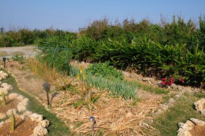 Garden - Natural farm ZAMPA (Yomitan)