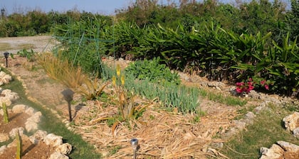 Natural farm ZAMPA