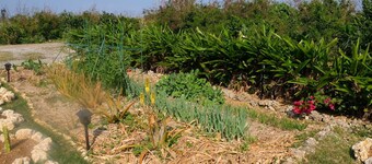 Natural farm ZAMPA