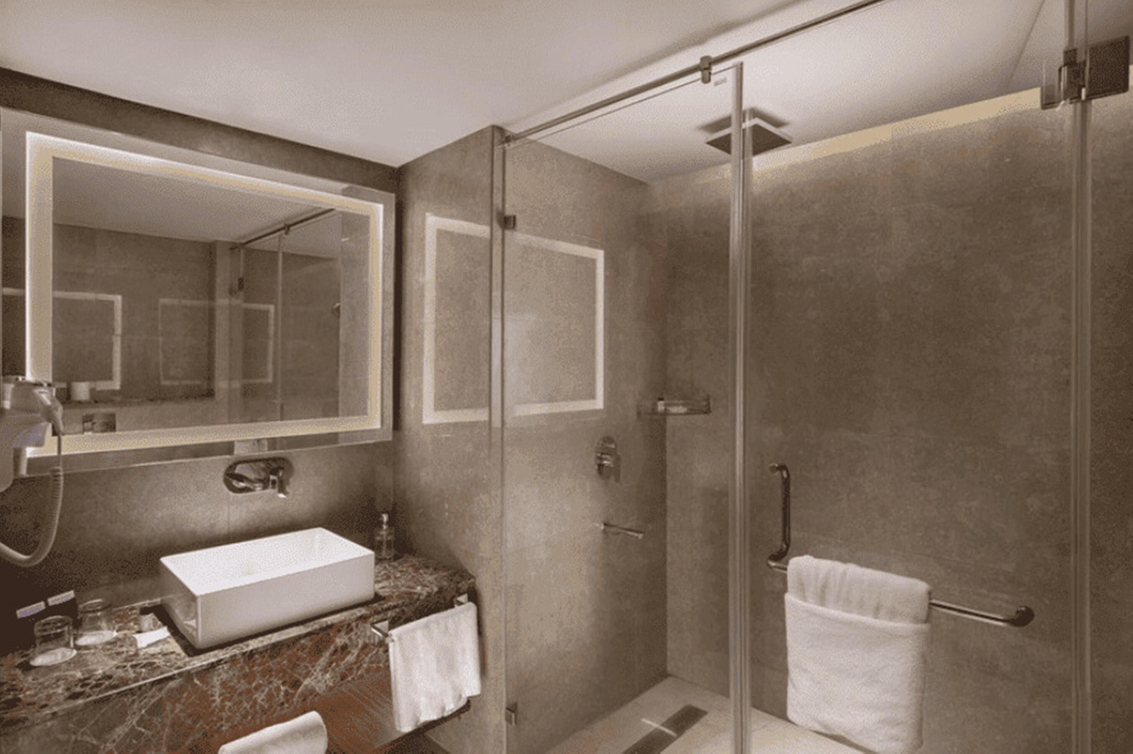 A modern bathroom with a glass shower enclosure, a white sink, and a large mirror.