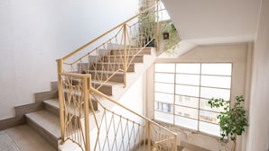 A staircase with a wooden handrail and beige steps, leading to a landing with a large window and a potted plant.