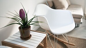 Un salon moderne avec un canapé blanc, un fauteuil blanc et une petite table sur laquelle est posée une plante en pot.