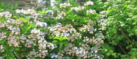 Voorkant van accommodatie