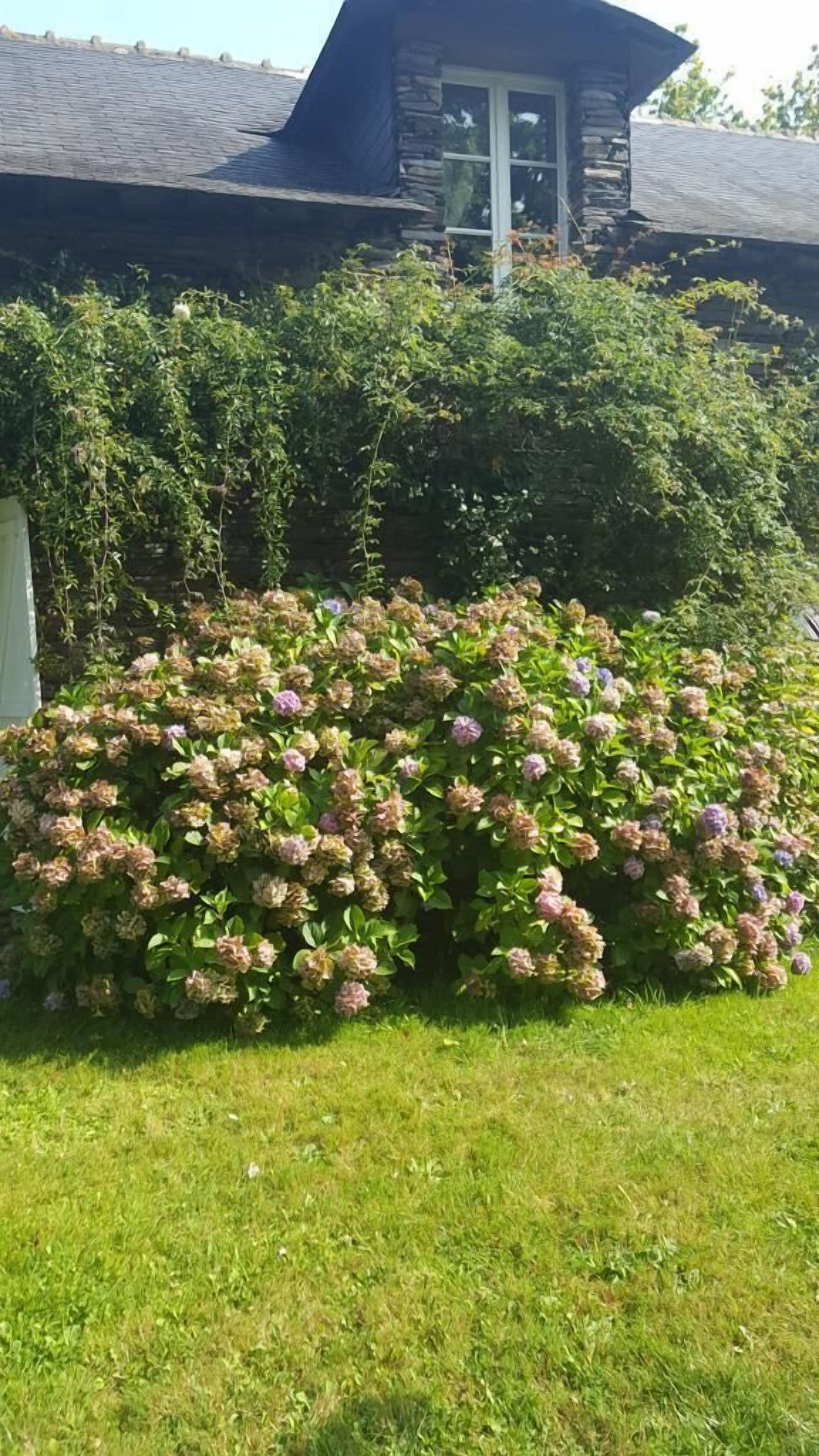 Una casa con fachada de piedra, una ventana visible y un jardín bien cuidado con arbustos florecientes.