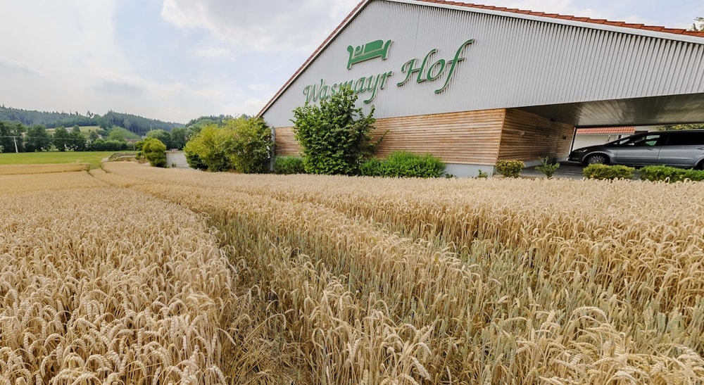 Wasmayr Hof image