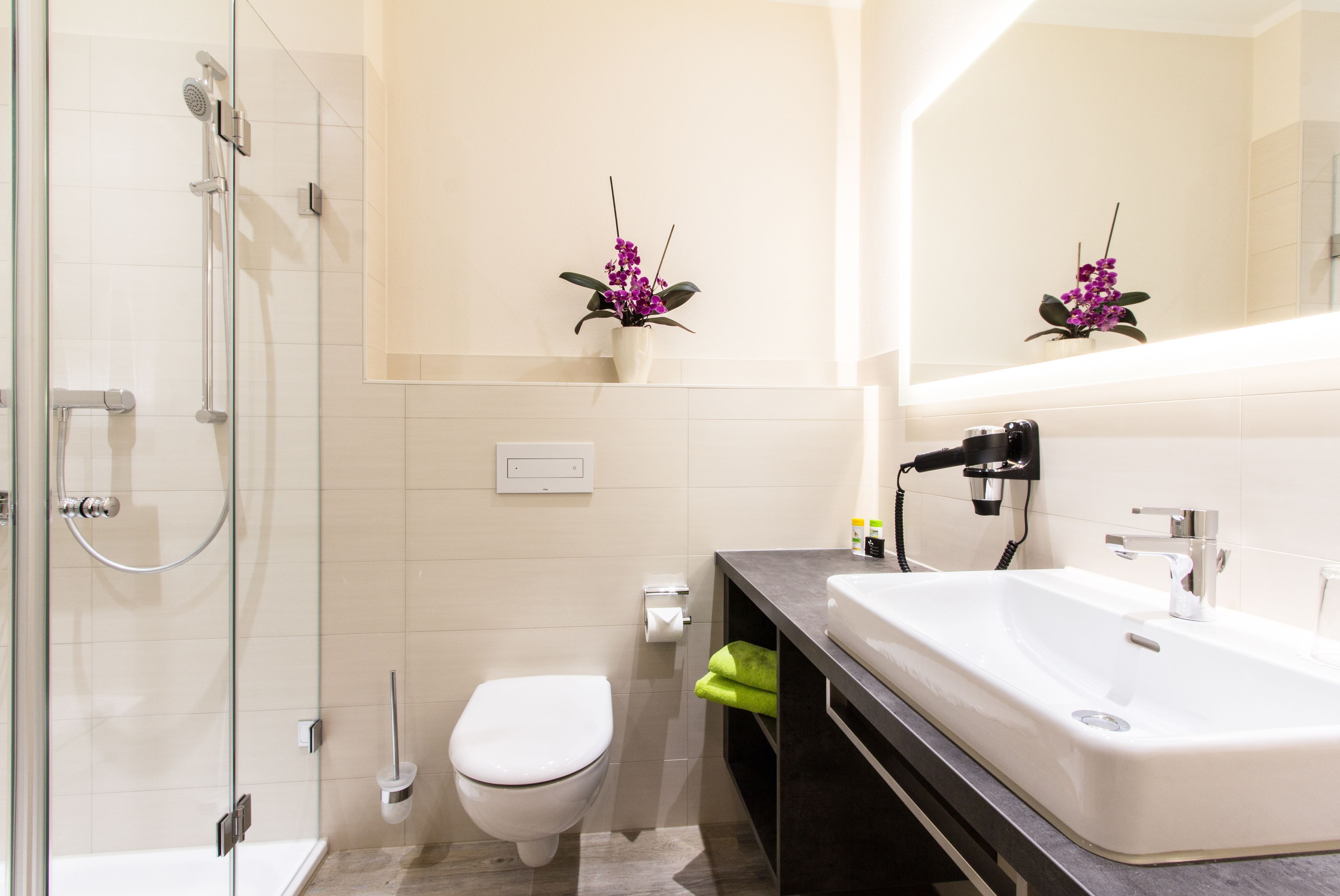 shower, free toiletries, hair dryer, towels