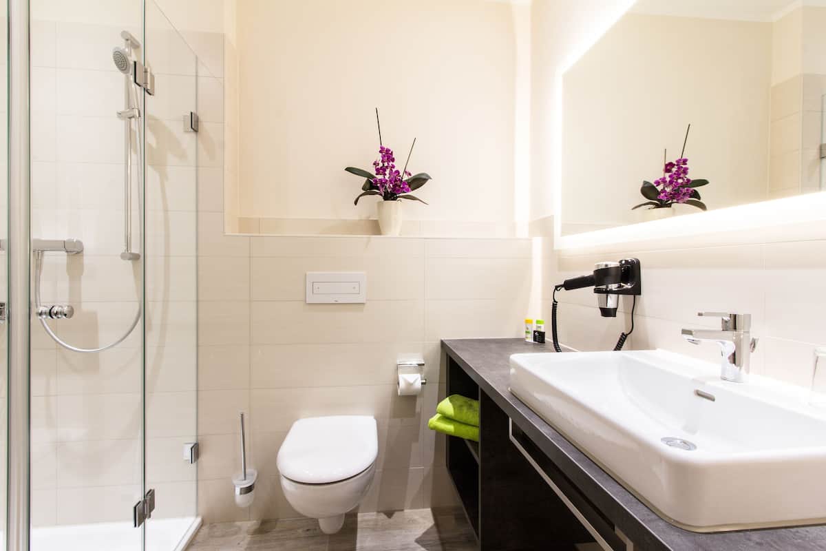 shower, free toiletries, hair dryer, towels