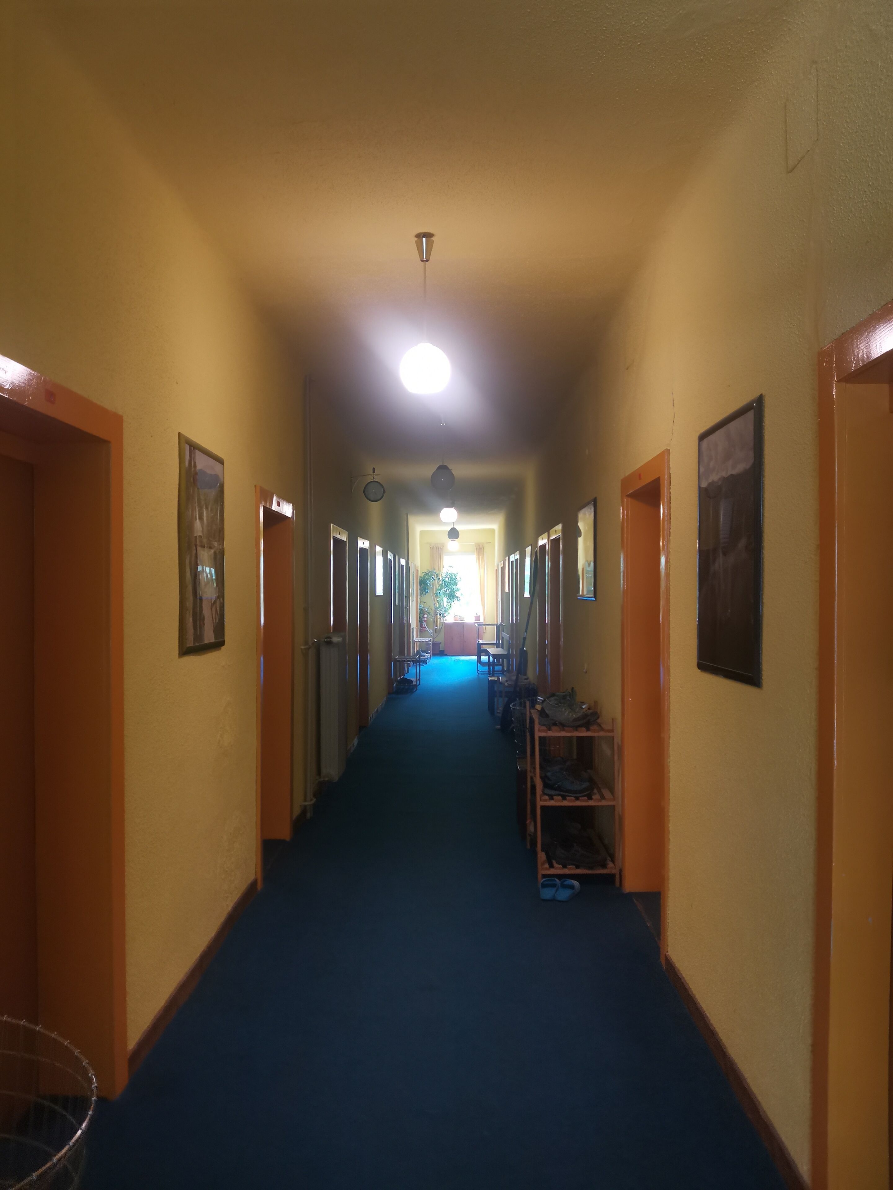 Un pasillo con alfombra azul, puertas de madera y cuadros en las paredes.